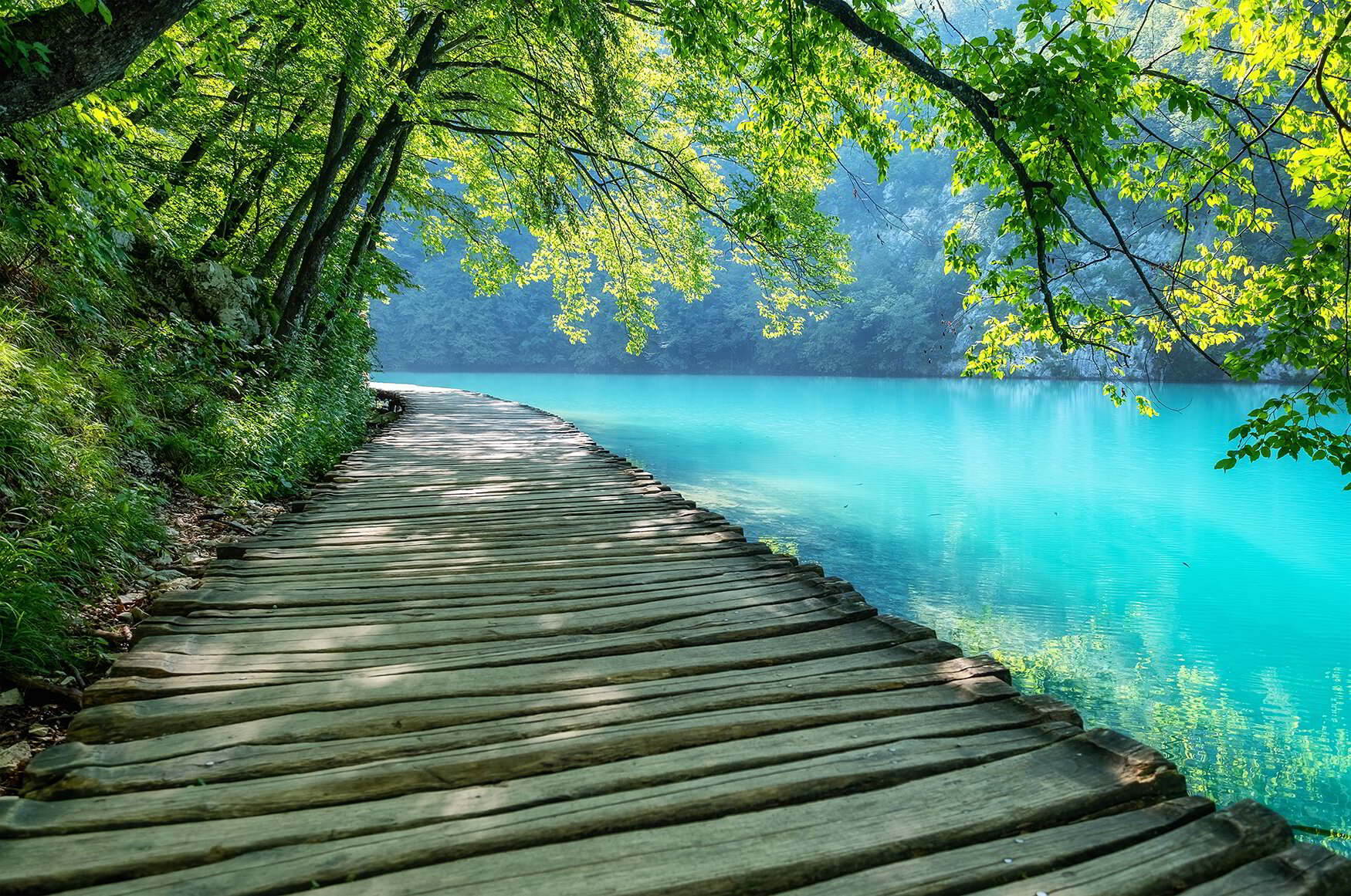 A quiet boardwalk path winding through still turquoise water and forest