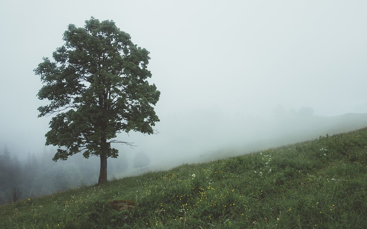 Mind — Live in the present.
